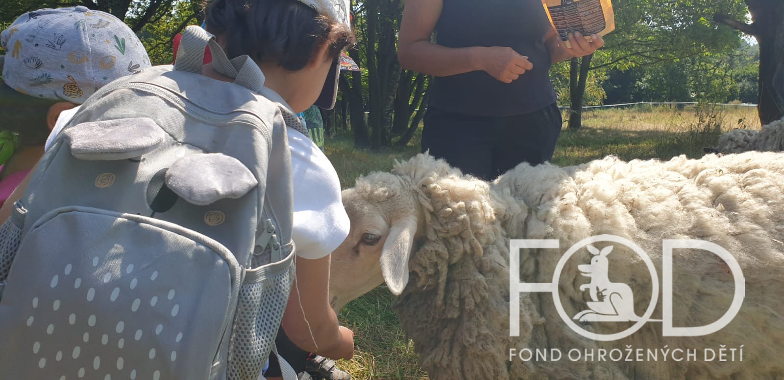 Máme rádi zvířata….