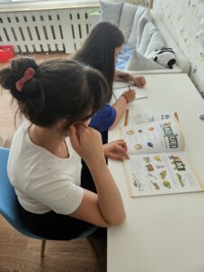 3.nová fotka-Dobrovolnická pomoc