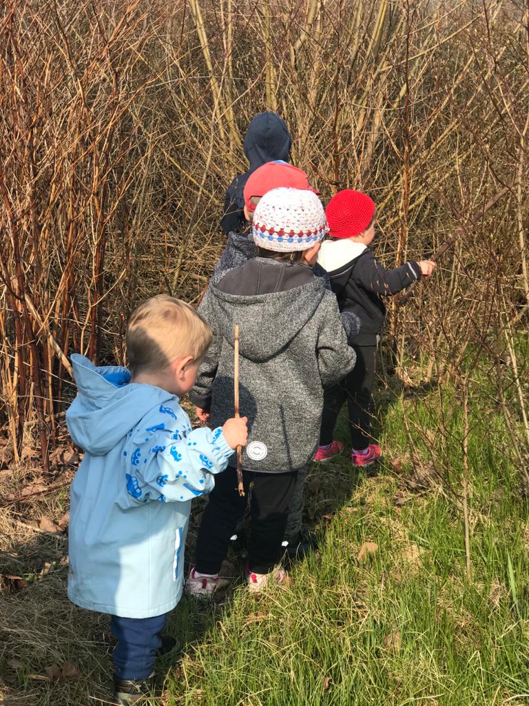 Náš domov je roští